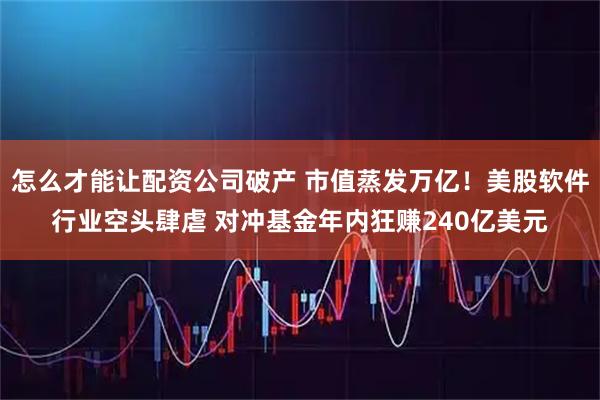 怎么才能让配资公司破产 市值蒸发万亿！美股软件行业空头肆虐 对冲基金年内狂赚240亿美元