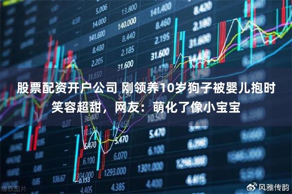 股票配资开户公司 刚领养10岁狗子被婴儿抱时笑容超甜,网友:萌化了像小宝宝