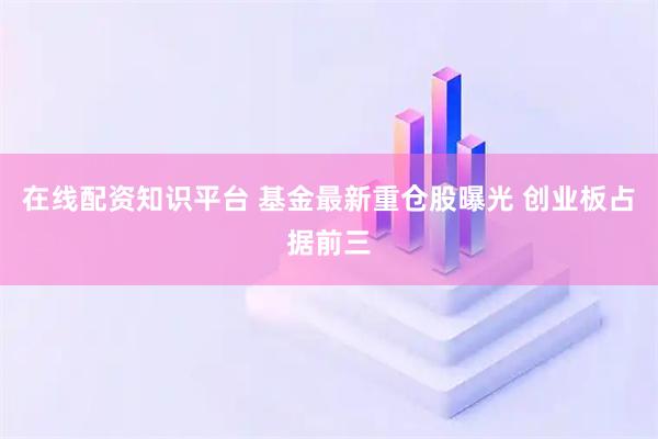 在线配资知识平台 基金最新重仓股曝光 创业板占据前三